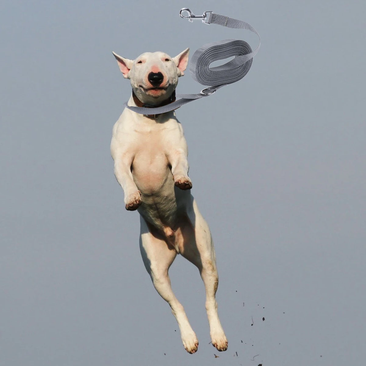 

Nylon Tracking Rope For Dog Durable Pet Pulling Strap Heavy Duty Outdoor Walking Climbing Camping Beach Swimming Supplies Grey L