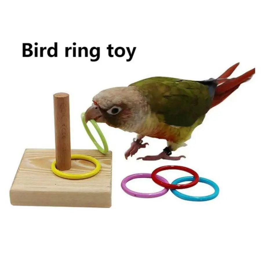 

Parrot Bird Training Toys Set Wooden Block Puzzle Toys For Parrots Colorful Plastic Rings Intelligence Training