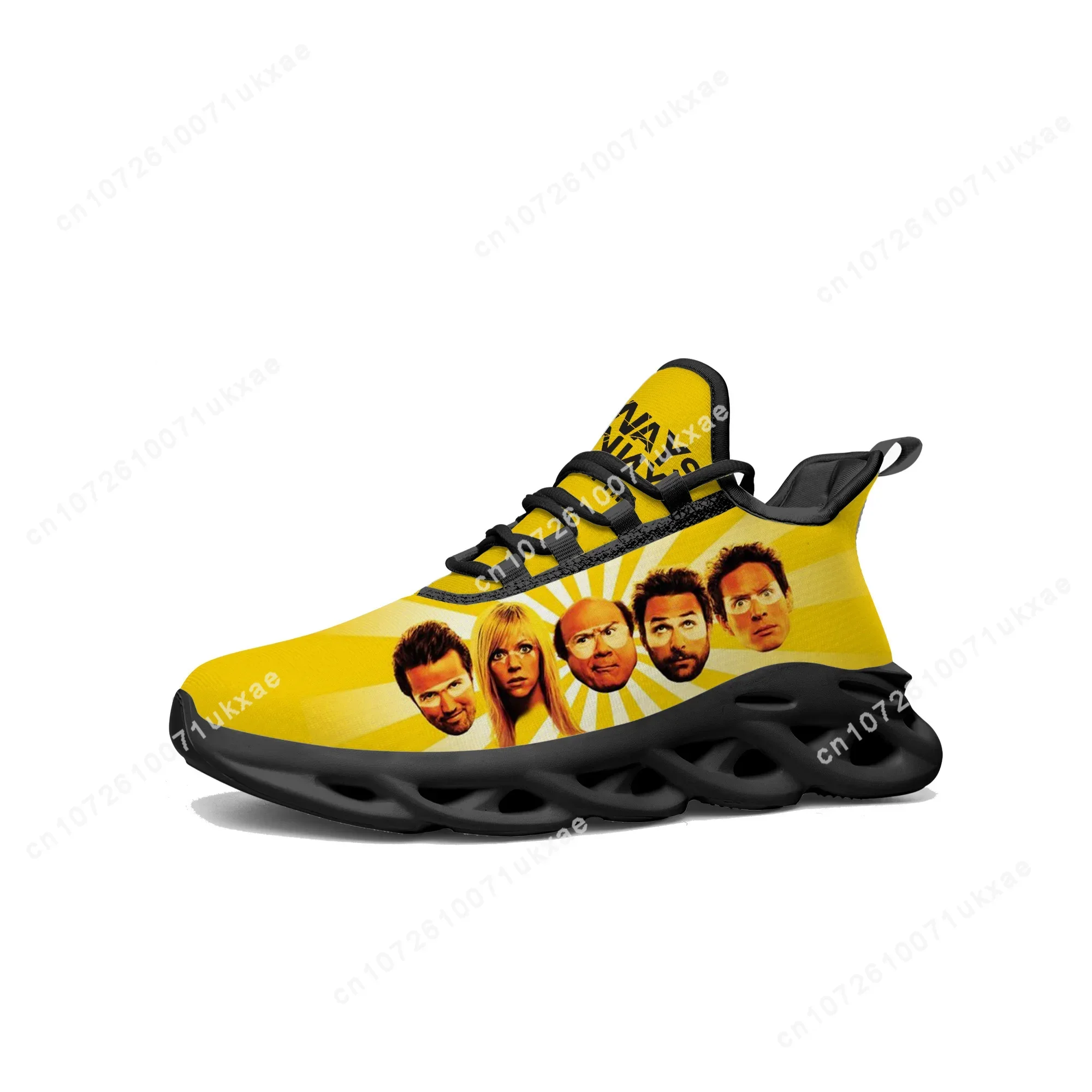 Always Sunny in Philadelphia Flats Sneakers Mens Womens Sports Shoes Frank Reynolds Sneaker Lace Up Mesh Footwear custom Shoe