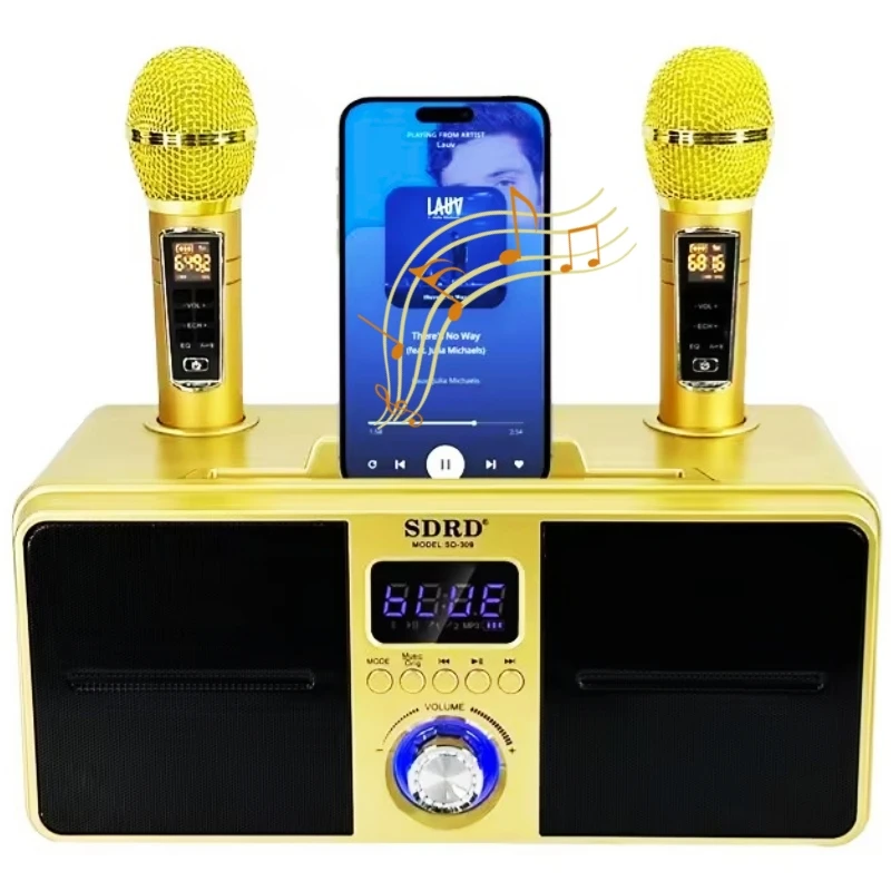 SD309 30W Мощный портативный динамик Bluetooth беспроводной караоке с двумя микрофонами для пения на открытом воздухе