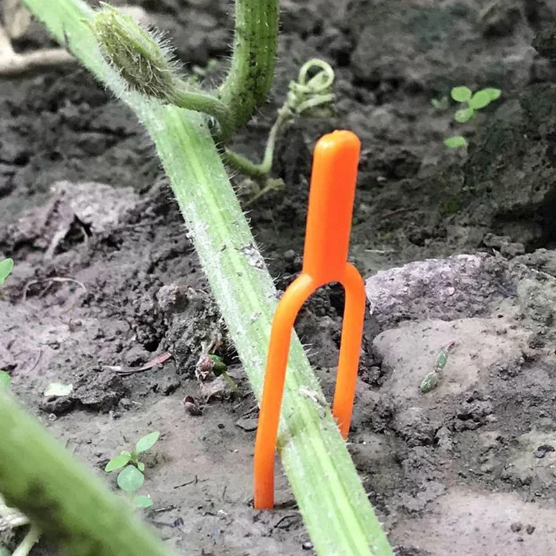 65MM stabilizator łodygi roślin ogrodowy widelec do sadzenia truskawek plastikowy uchwyt na winorośl zacisk mocujący na sadzonki arbuza