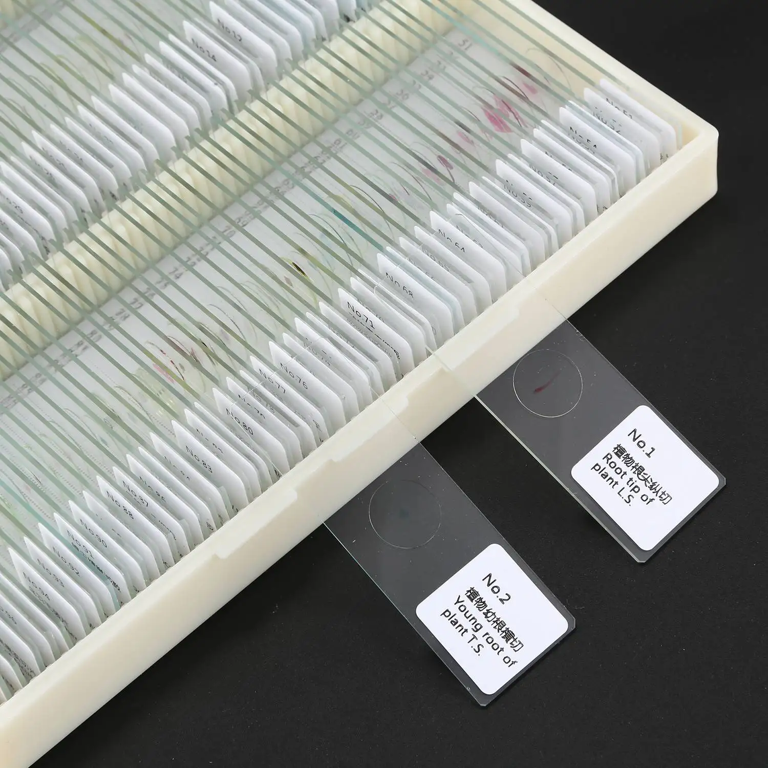 100 قطعة شريحة زجاجية احترافية مجهزة شرائح المجهر عينة تعليمية أقسام الأنسجة البشرية مع صندوق بلاستيكي-AS97