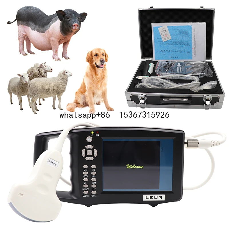 Portable High Accurate Veterinary Pig Sow Swine B Ultrasound Detector Animal Cattle Sheep Pregnancy Tester Ultrasound Scanner