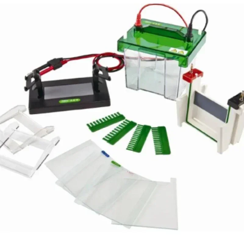 

Vertical Gel Electrophoresis System With Electrophoresis Power Supply Hot sales
