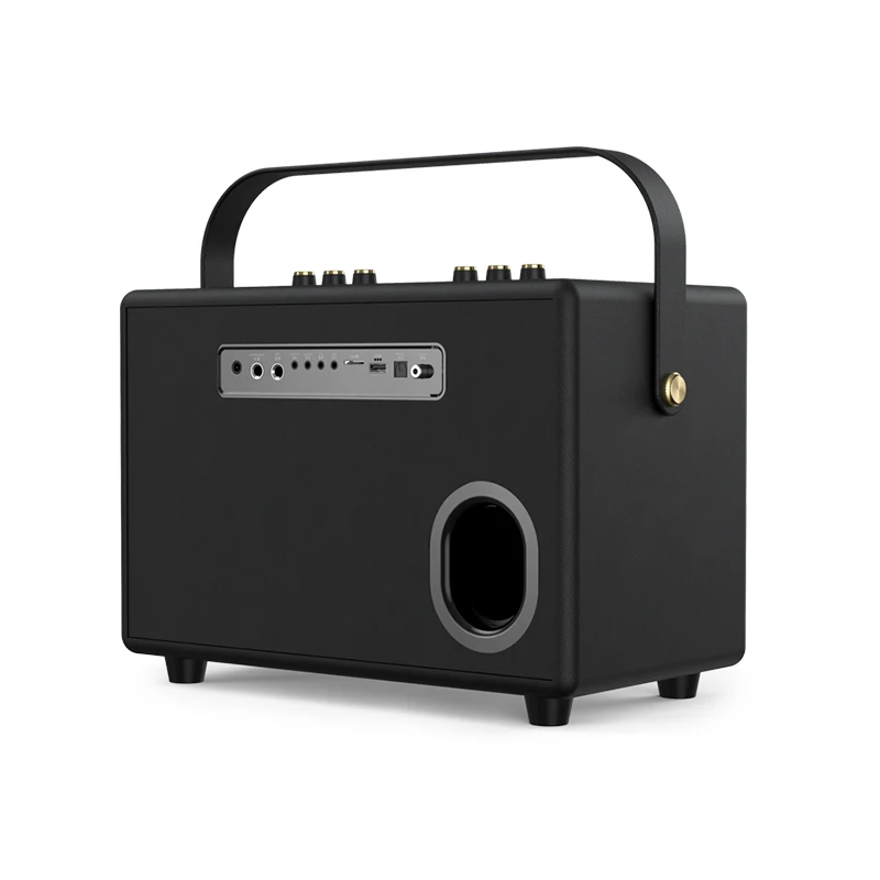 Shidu T20 tragbare 100W Bigbass Karaoke Pa Verstärker Hifi Heimkino-System Lautsprecher Unterstützung Live-Streaming