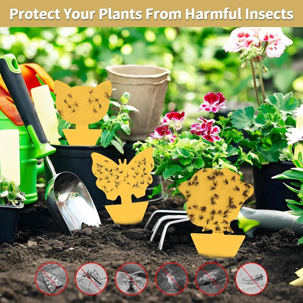 

40Pcs Fungus Gnat Killer Protect The Plant Sticky Board Traps Non-Toxic and Odorless Gnat Sticky Traps for Indoor Outdoor Use