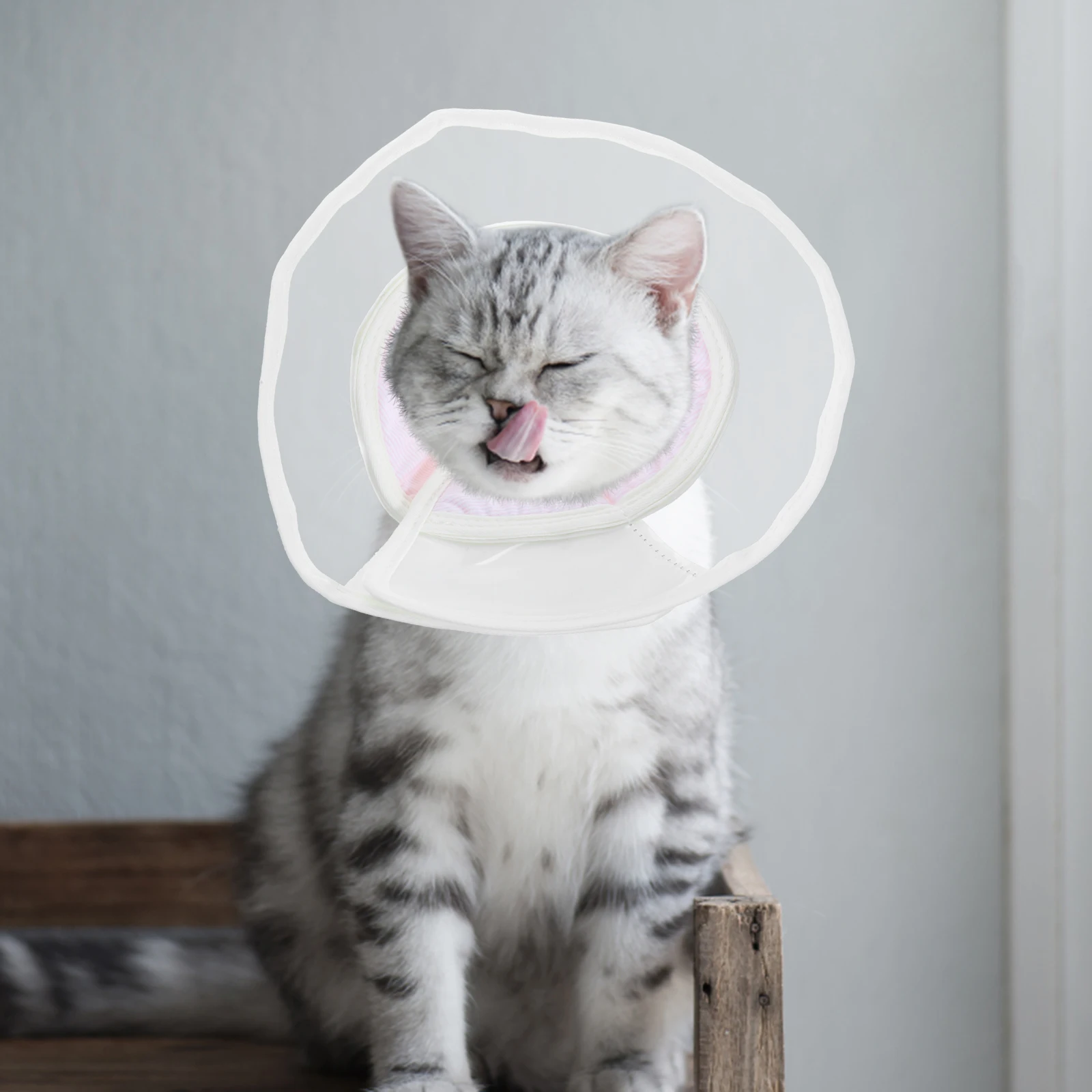 

Cat Cone Collar Soft Pet Recovery Collar For Cats After Surgery Anti-Licking Comfortable Fit Dog Cat Neck Ring Post
