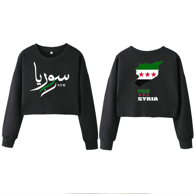 Middle Eastern Pride Cropped Sweatshirt, Syrian Flag Pullover,Cultural Heritage Top,Patriotic,Damascus,Resistance Fighter,Unisex