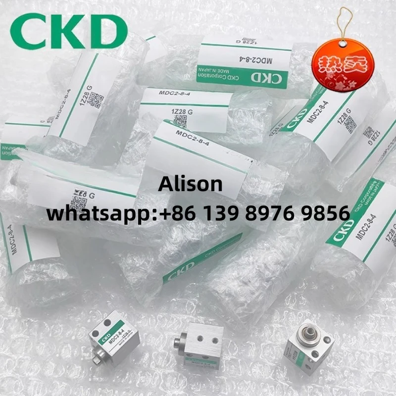 Ckd Small Mounting …