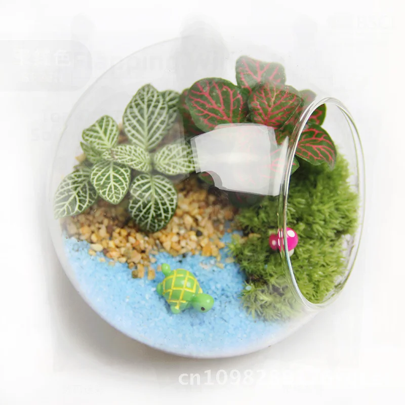 

10cm Diagonal Creative Moss Micro Landscape Ecological Glass Bottle Set with Turtle Handmade DIY Miniature Garden Gift