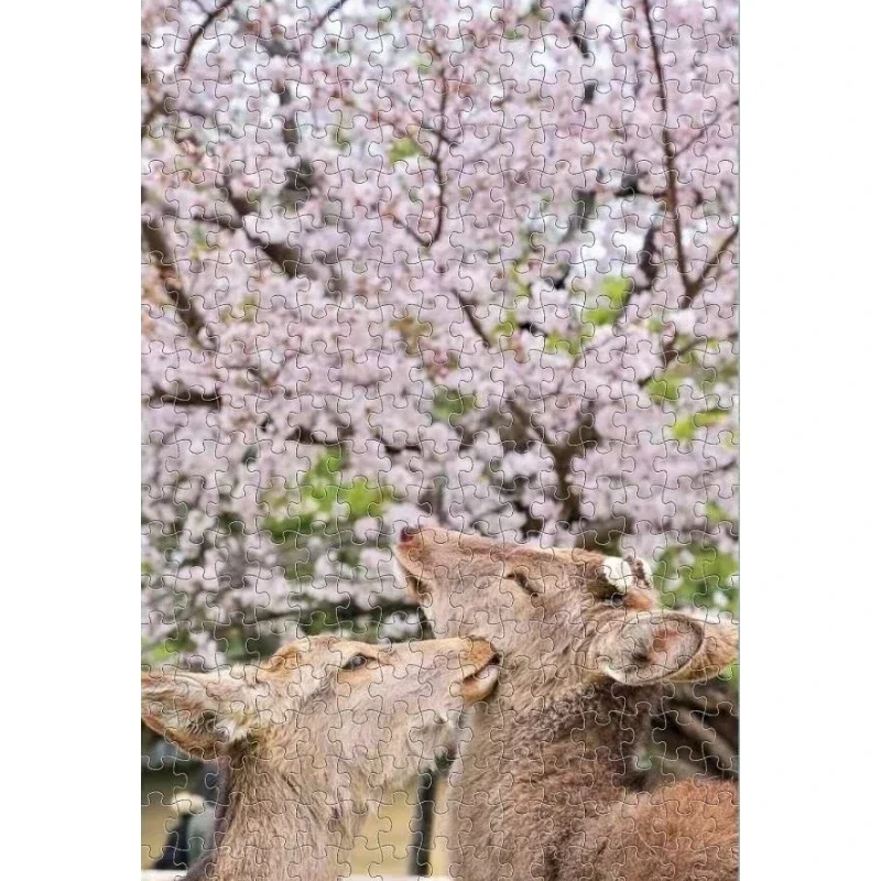 

MaxRenard Wooden Jigsaw Puzzle 1000 Pieces for Adults Japan The Deer of Nara Family Game Christmas Gift