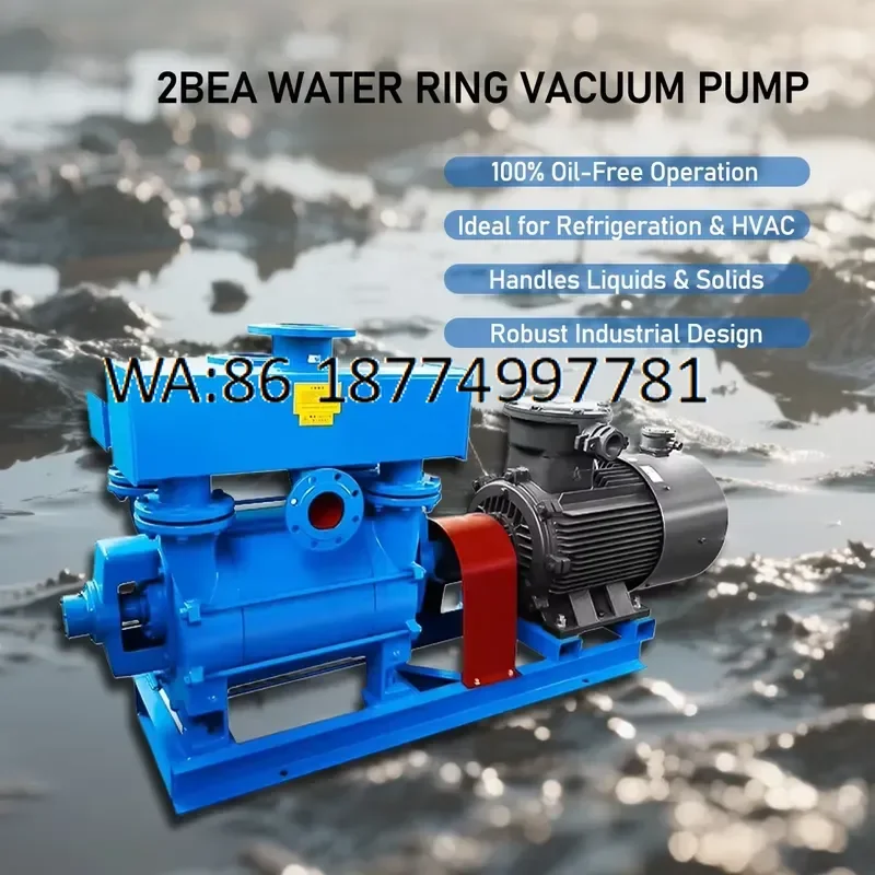 custom Low Noise 2BEA Water Ring Vacuum Pump Cast Iron Industrial for Woodworking CNC Router and Vacuum Forming OEM ODM