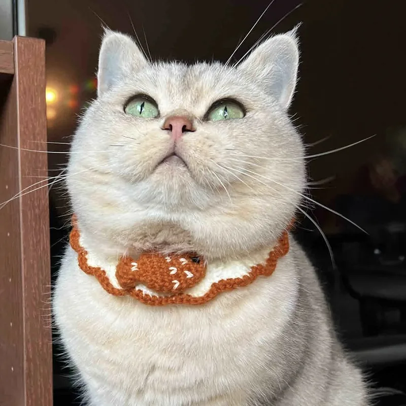 Ins Style Cat Necklace Dog Hand-woven Collar Exquisite Craft Knitted Fish Scarf Small Dog Bib Party Decoration Photo - view 5