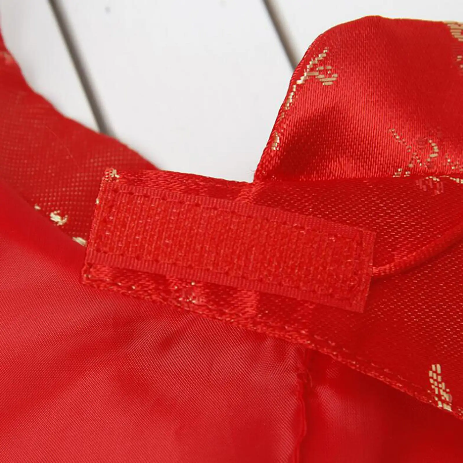 Chinese Style Cat New Year Clothes Cloak Chinese Fu Necktie Chinese Dress Tang Suit with Red Envelope Costume Dog Cape