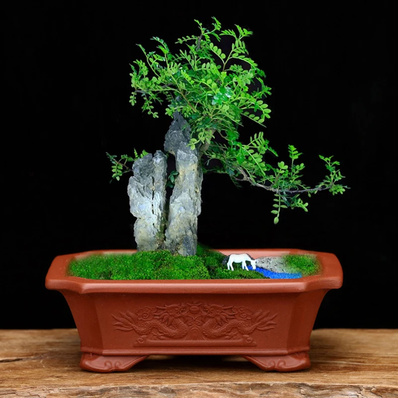 Fioletowy piasek doniczka do Bonsai prostokątna osobowość ceramiczna pulpit roślina zewnętrzne donice soczyste garnki akcesoria ogrodowe Macetas