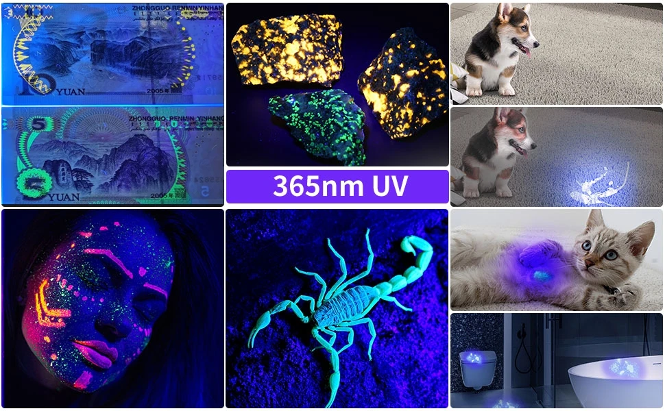 200W 365nm LED UV-Taschenlampe Leistungsstarke Schwarzlichtlampe USB-Aufladbar für Katzen- und Hundepilzinfektionen, Urinflecken, Skorpione, Geldprüfung, Ultraviolettlampe – Detail 3