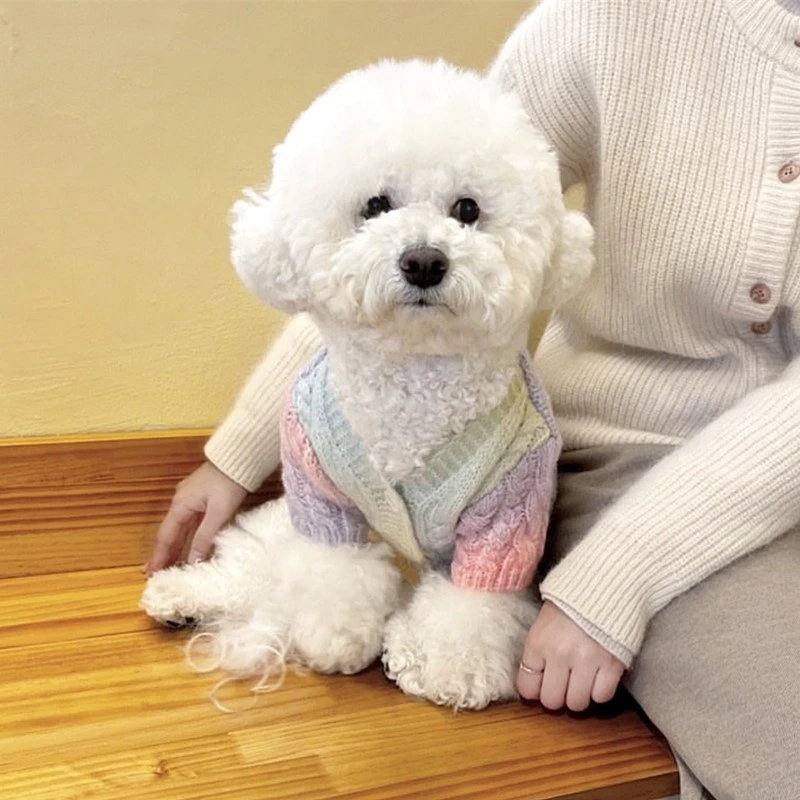 Fashion Colorful Pet Knitted Sweater Autumn Teddy Warm Clothes Puppy Button Shirt Yorkshire Two Legs Clothes Soft Dog Clothes