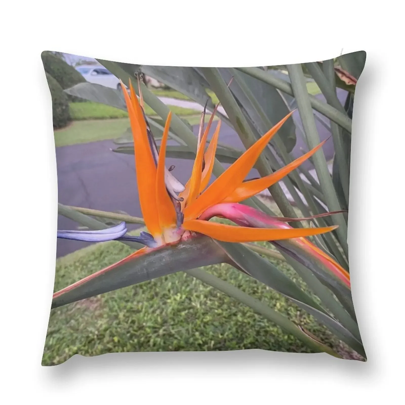 

Orange Bird of Paradise Throw Pillow Marble Cushion Cover Decorative pillowcase Christmas Pillows pillow