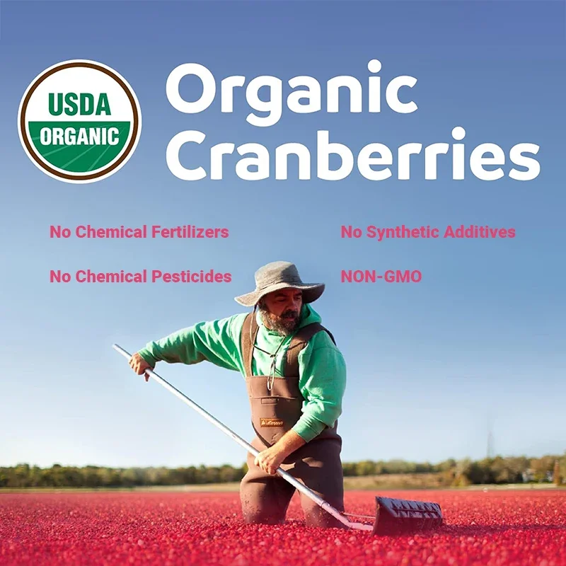 Cranberry - Supports Urinary System Health Bladder Health Potent Antioxidant