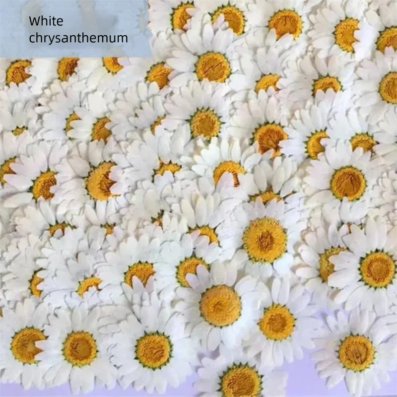 100PCS Natural White Crystal C - огляд і ціна Pressed Flower Frame
