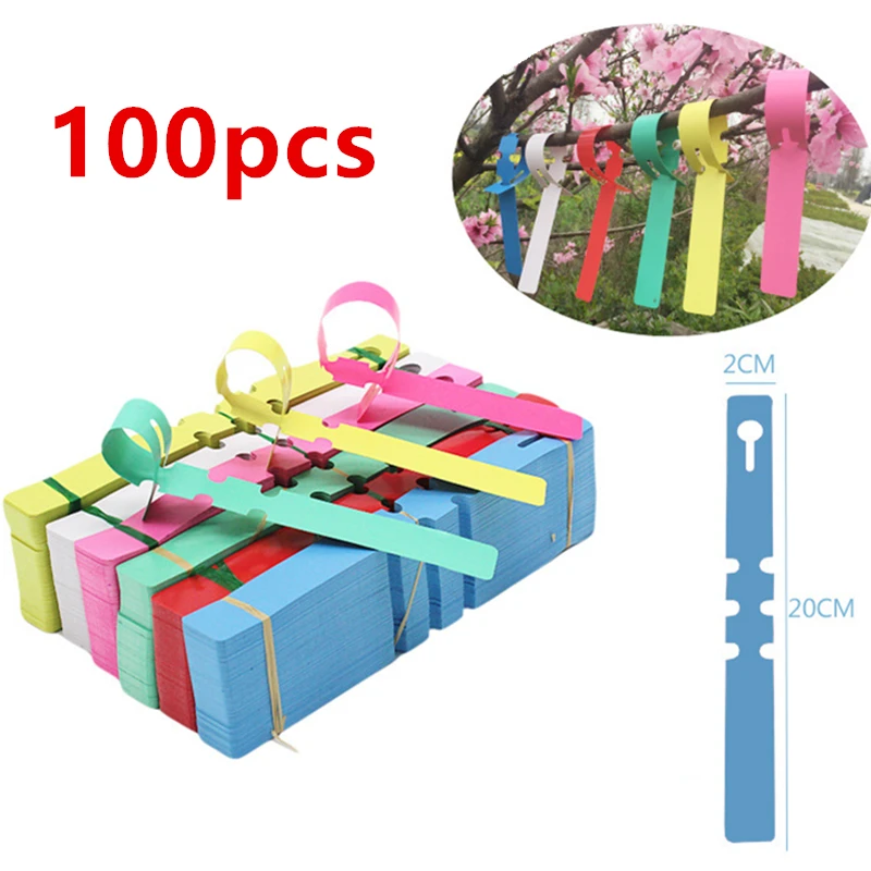 100 Pcs Plant Tags Garden Nursery Label Hanging Tree Markers Seedling Plant Fruit Trees Signs Prompt Card Classification Tool