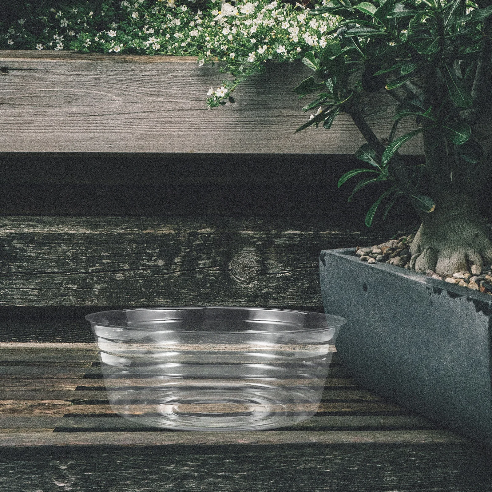 

20 Pcs Transparent Hydroponic Flower Pot Pots Clear Plastic Nursery Plant Saucers