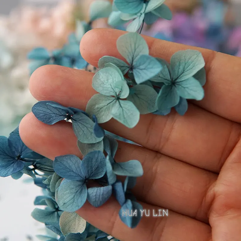 Gradient Color Hydrangea Preserved Flower DIY Earrings and Scented Candles Material For Gutta Percha Resin Home Decor