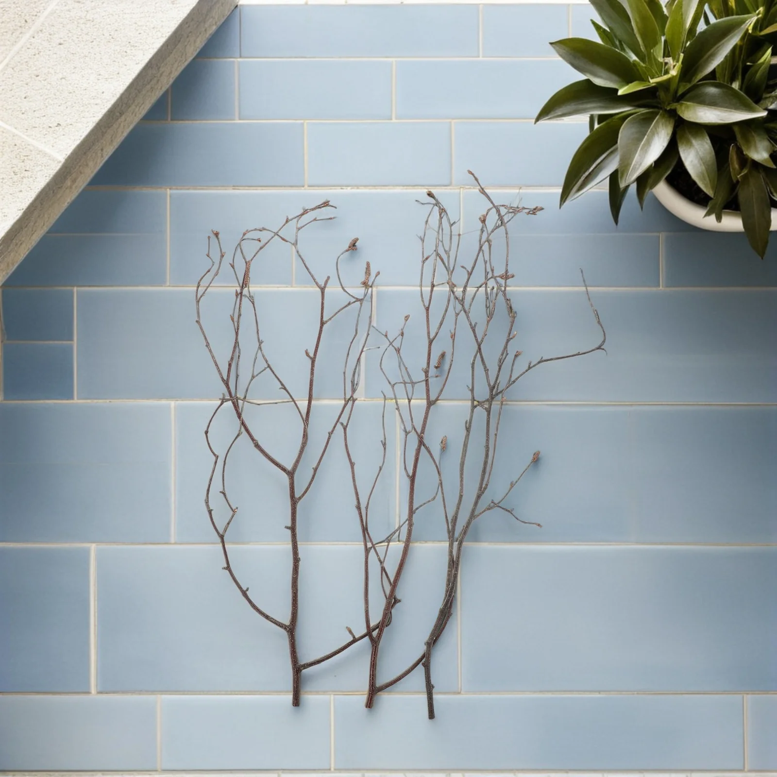 

20pcs Dried Tree Twigs Natural Birch Dry Branches For Vase Floral Arrangement Wedding Party Supplies Craft Sticks Decorative