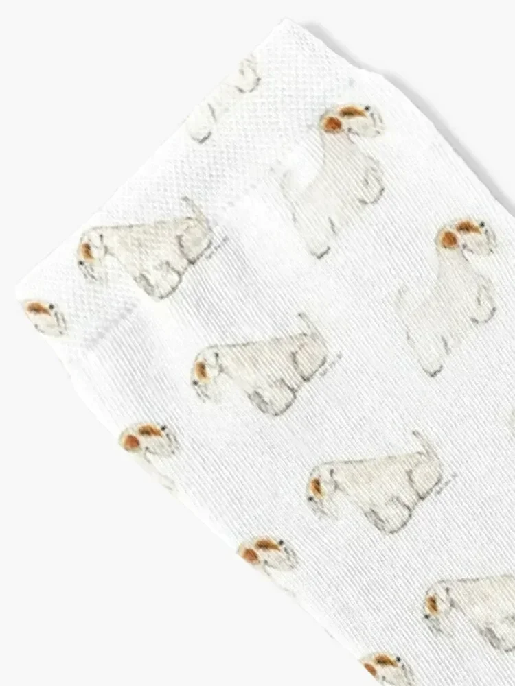 Sealyham Terrier brown Socks Lots custom sports Rugby christmas stocking Socks For Men Women's