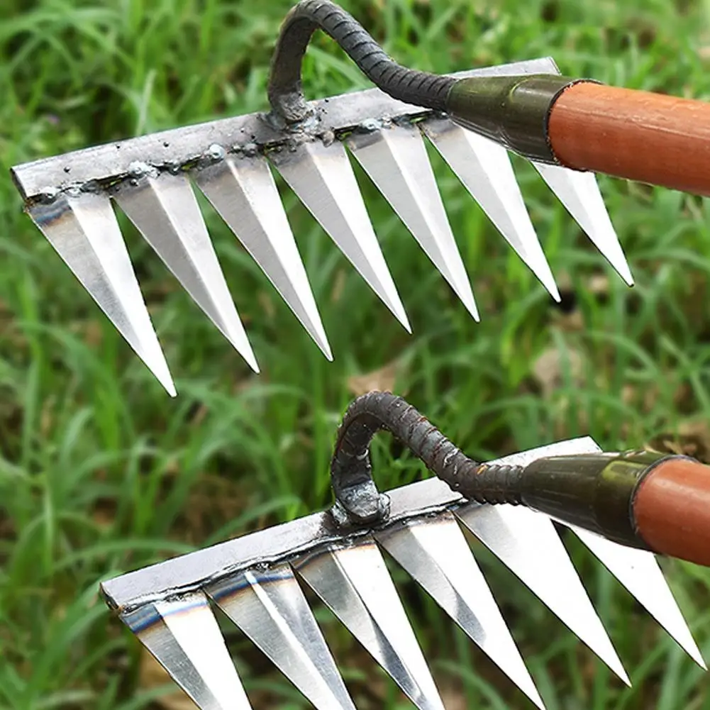 Imagem -06 - Ferramenta Agrícola Weeding Hoe Weeding Scarifier Artefato Agricultural Nail Harrow Ferramentas de Jardinagem de Metal Dente