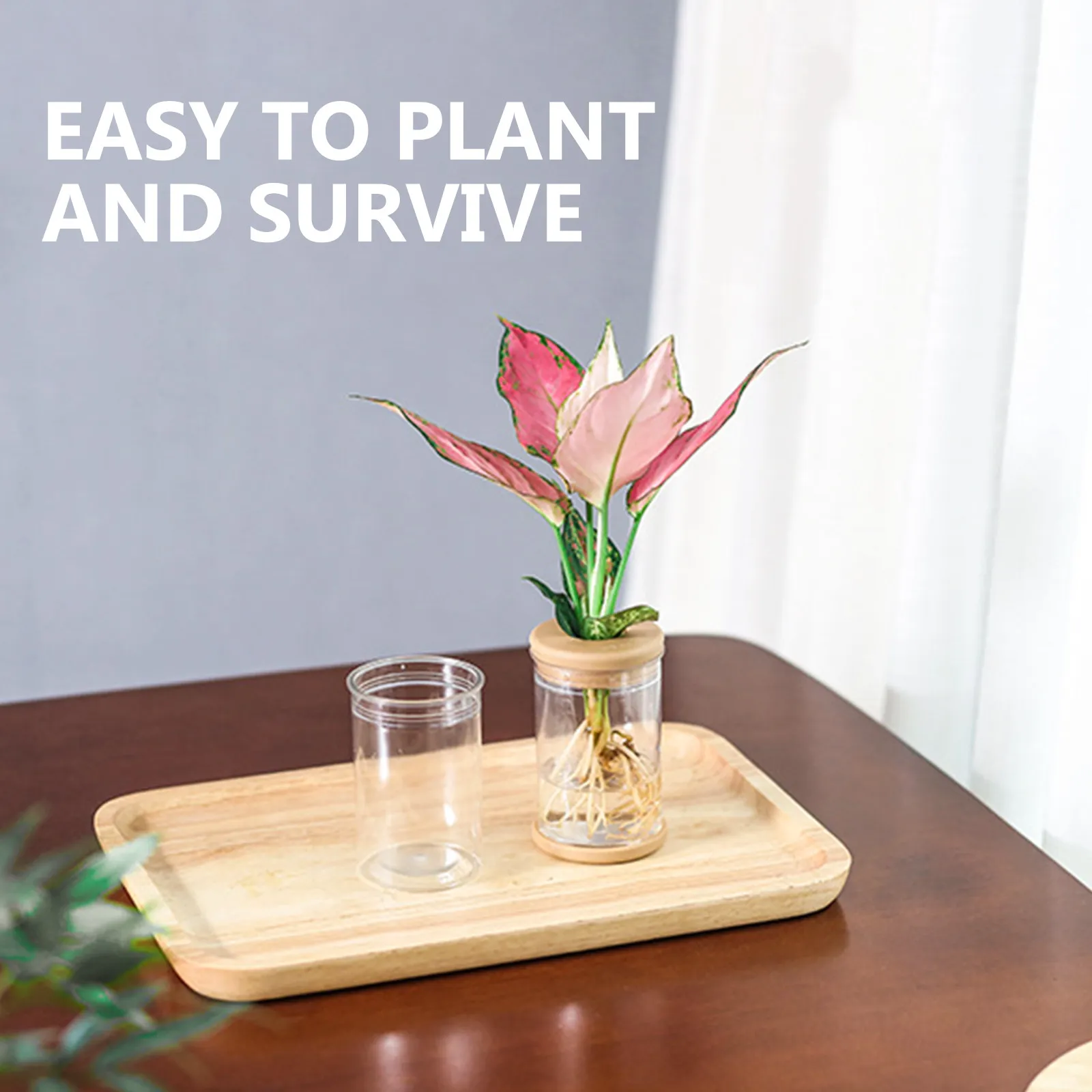 4Pcs Plastic Soilless Planter Container Imitation Glass Flower Pot for Table Decor Home Plant Display Betta Fish Bowl Small