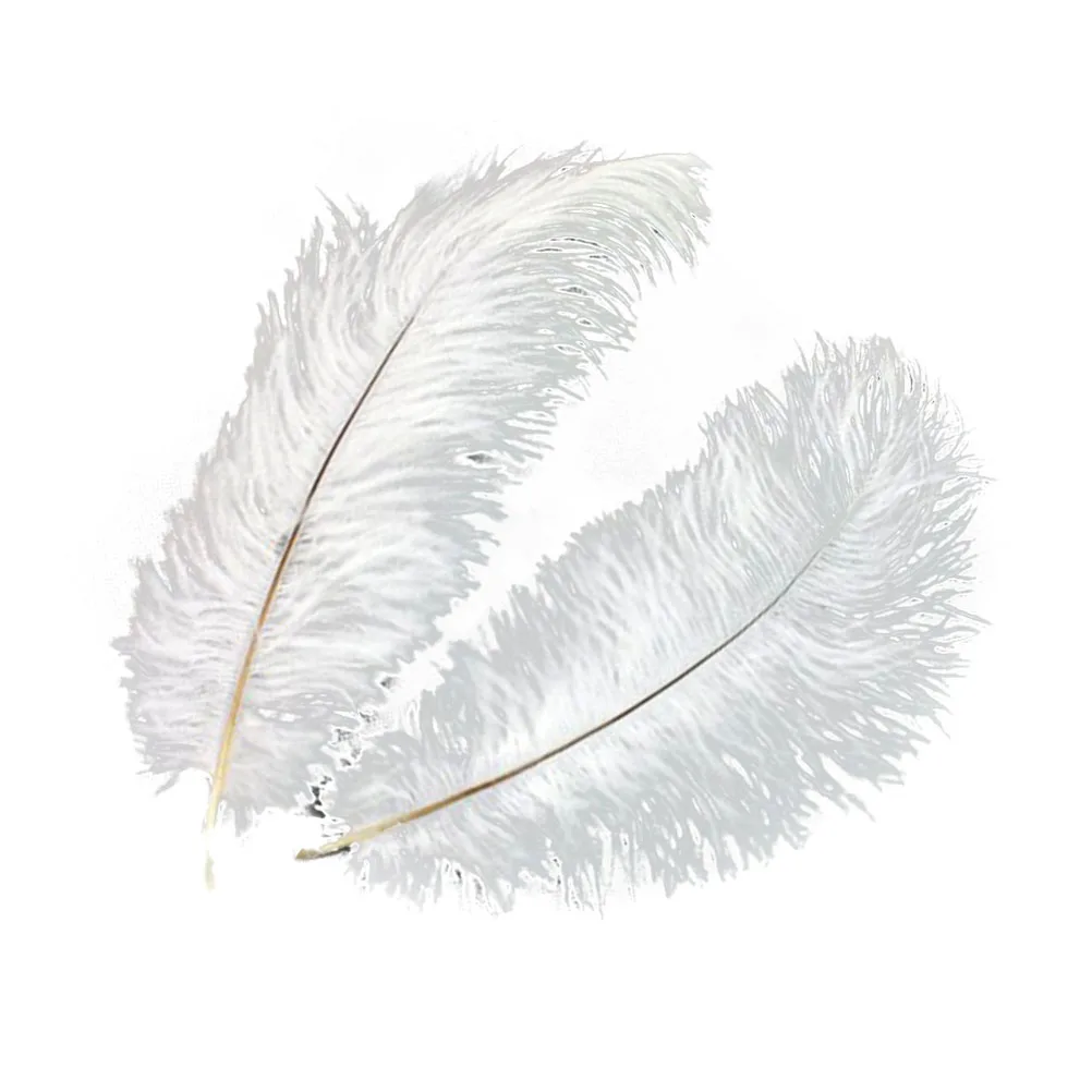 

Ostrich Decoration ostrich Ostrich decorations Natural Ostrich Artificial ostrich feahers