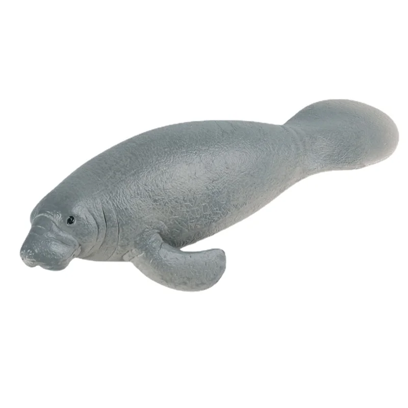 

Simulation of marine wildlife model Manatee Underwater World Children's cognitive toys wholesale