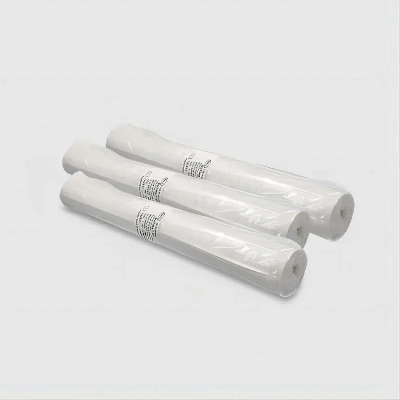 PALL 66485 0.2um NC Membrane BioTrace™ NT Nitrocellulose Transfer Membrane 30cmX3M Roll for Western/Dot/Slot Blotting Lab Usage
