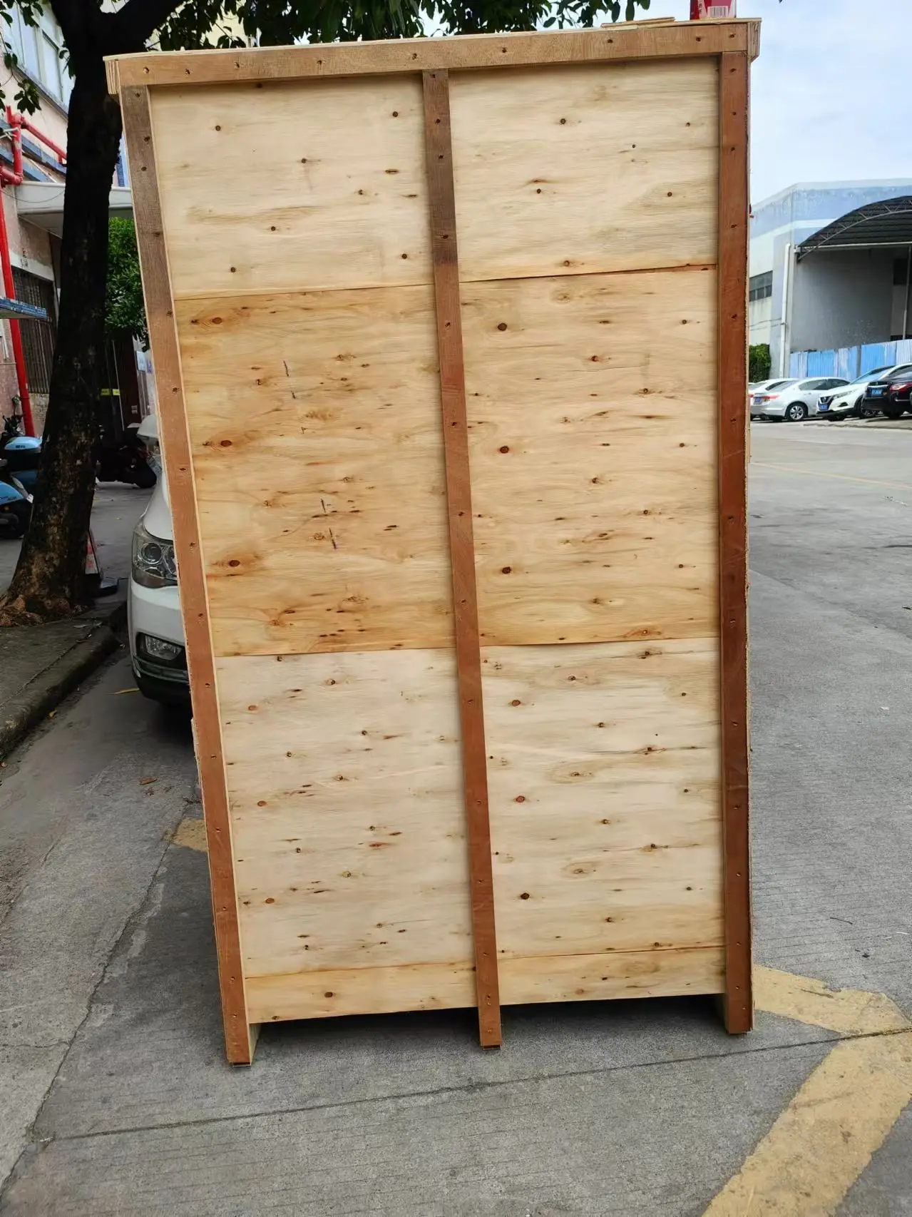 Commercial Food Dehydrator Machine for Fruits Vegetables Meat Used Condition for Home and Restaurant Use Fruit Dryer