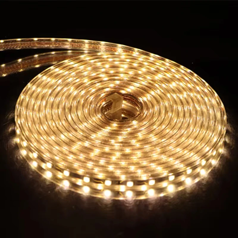 Imagem -05 - Impermeável Led Strips Light Smd 5050 60leds m Ip65 Jardim Casa Sala de Estar Cozinha Lâmpada de Fita de Corda Flexível eu Plug in 220v