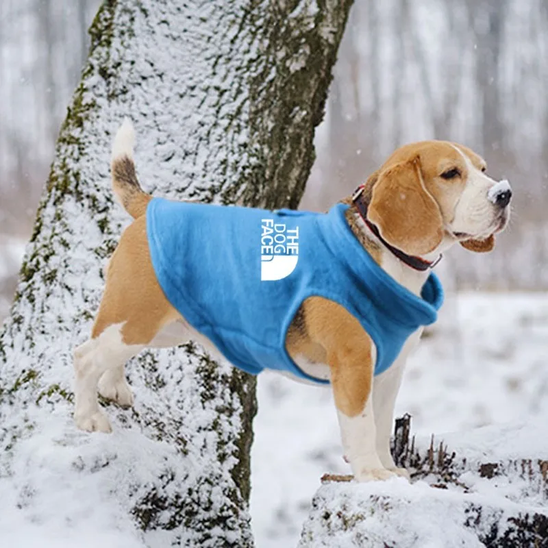 #1 Trending Puppy Coats Right Now