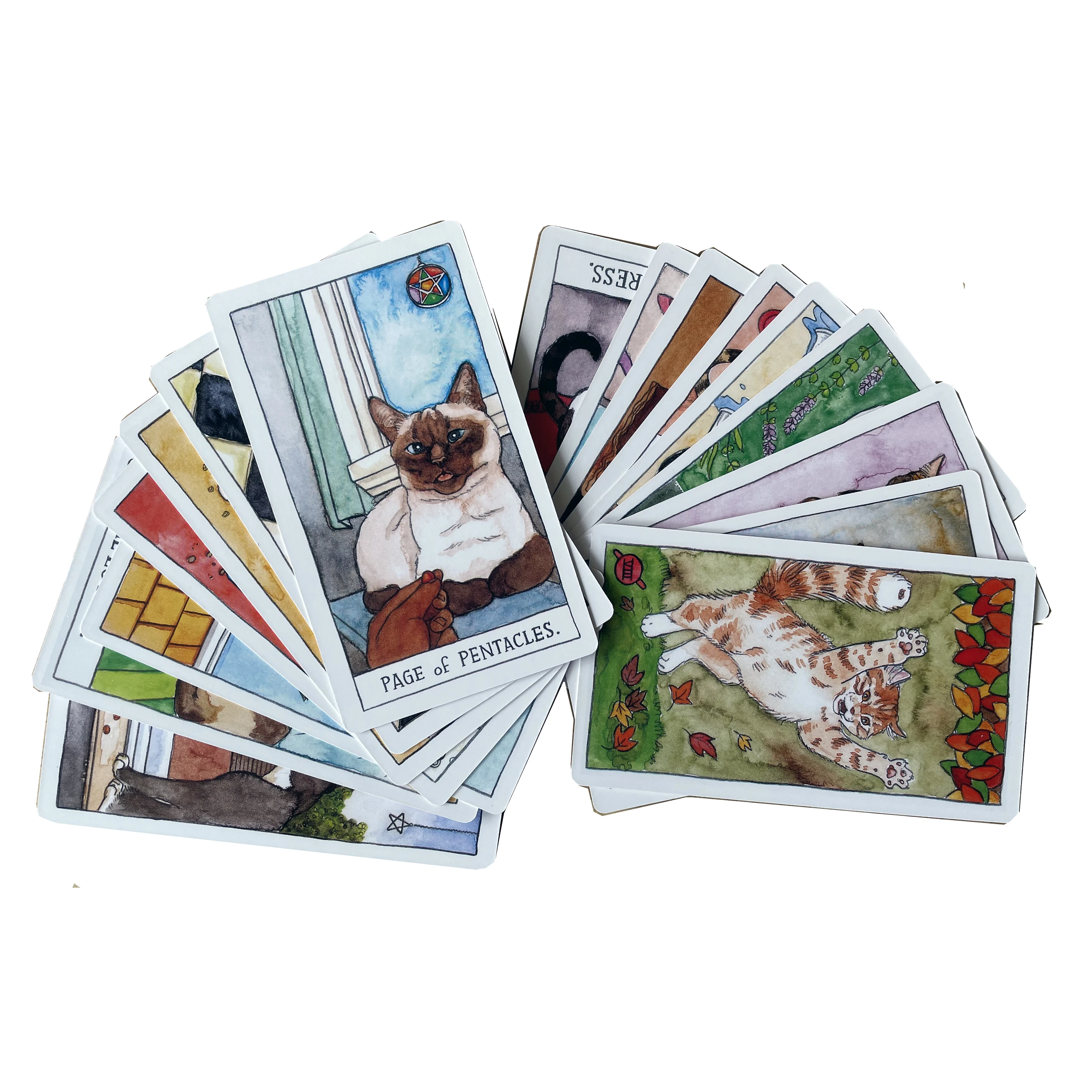 Tarot deck with guidebook for beginners , Cat tarot cards with book , Animal tarot card deck , Tarot deck with guidebook