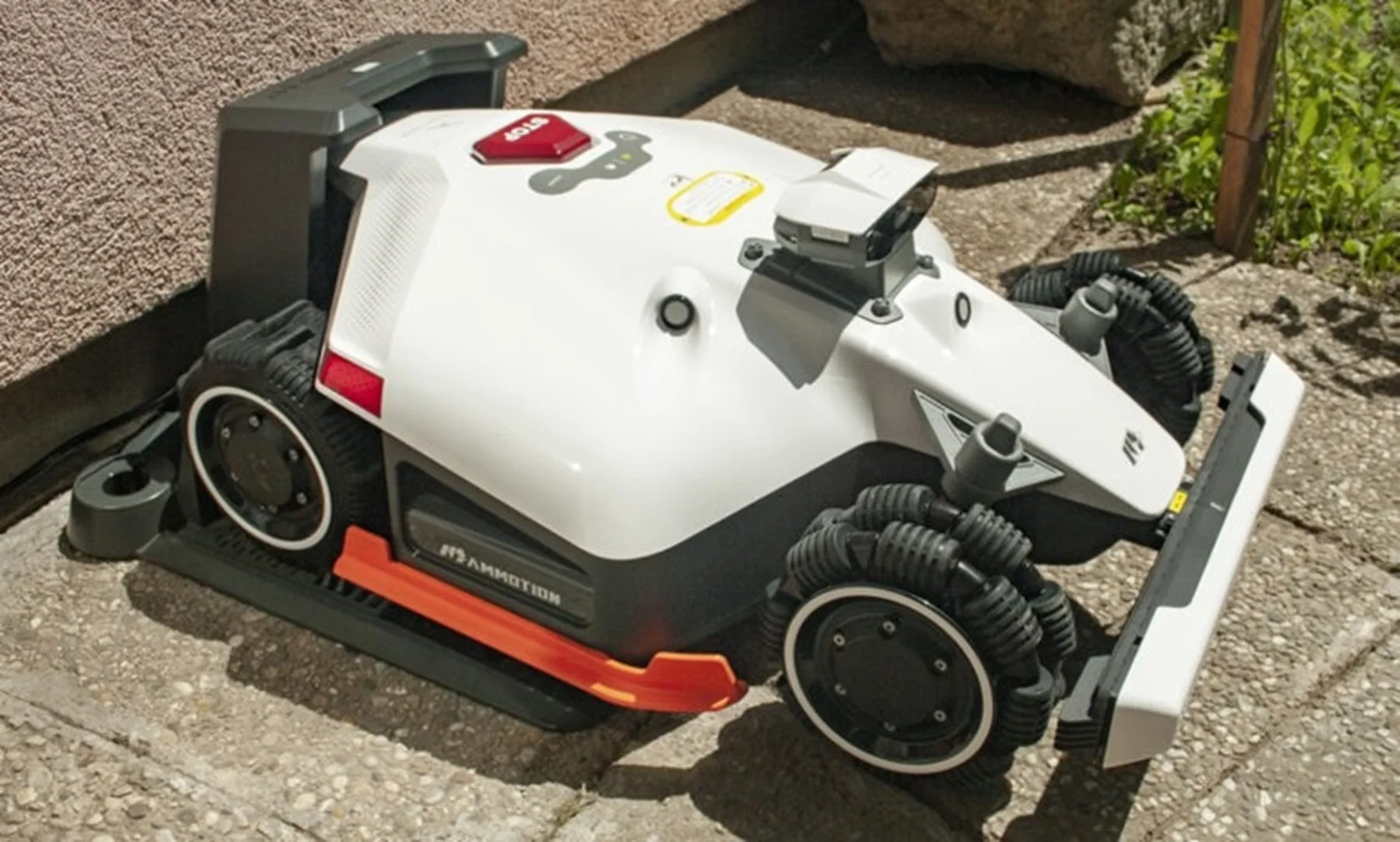 Swift Arrival Luba … - image