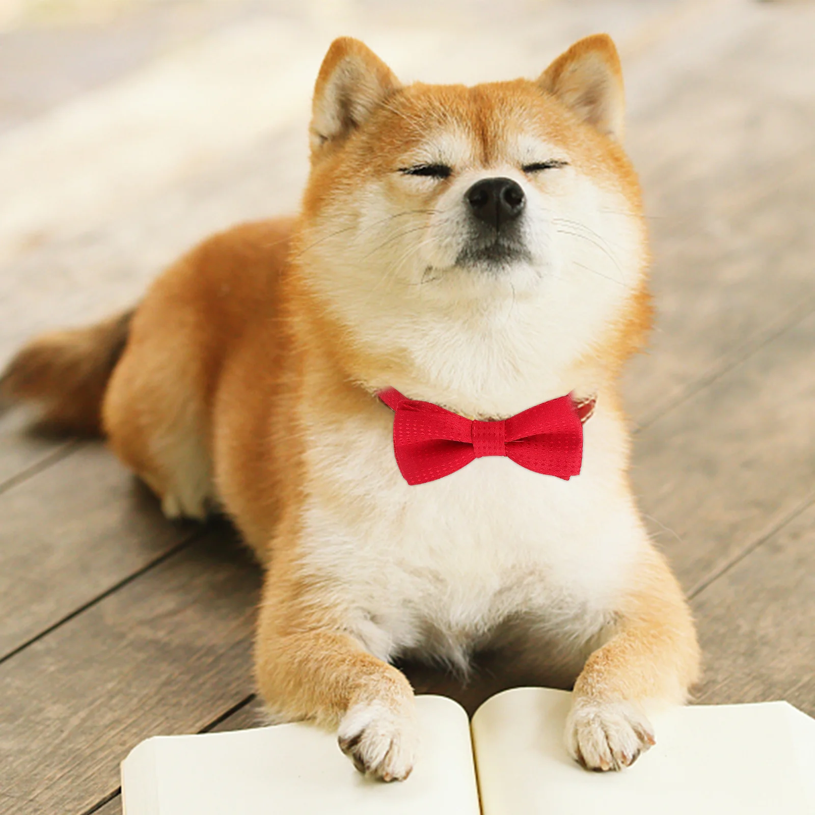 

Pet Bow-Knot Tie Adjustable Comfortable Collar with Red Spots Double Thickened Knot for Cat Dog Bunny New Year Halloween Party