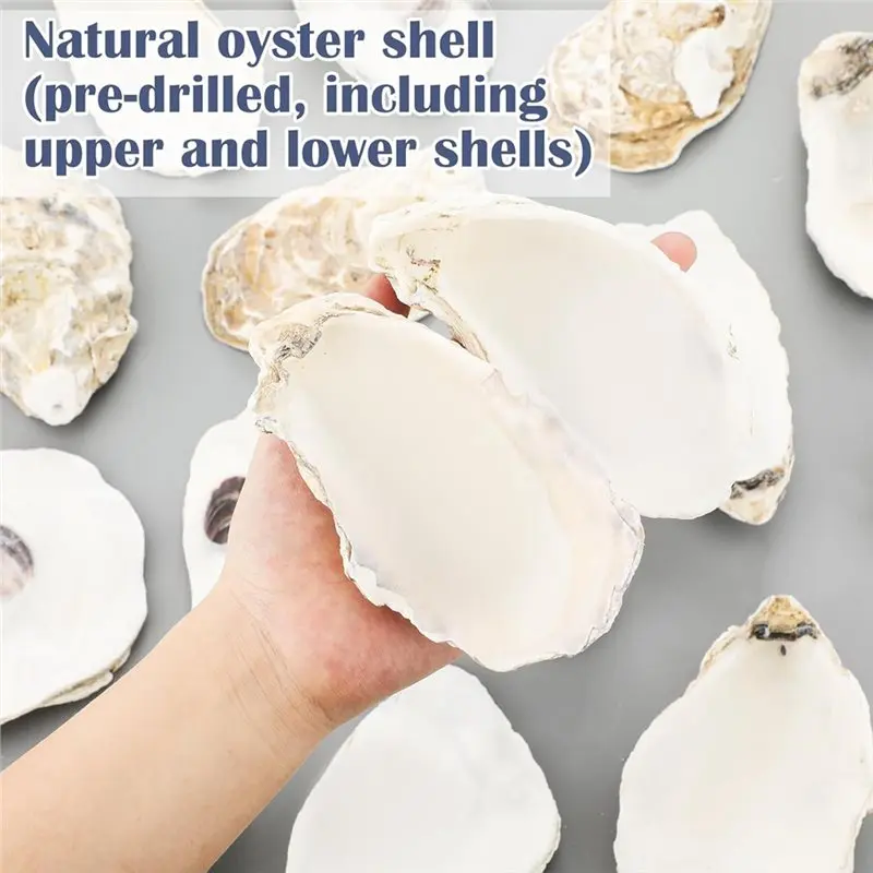 【CUSTOMER FAVORITE】12 Set Beach Oyster Shells For Crafts 4-5 Inch Large Seashells With Holes For Crafting Summer Flat Oyster She