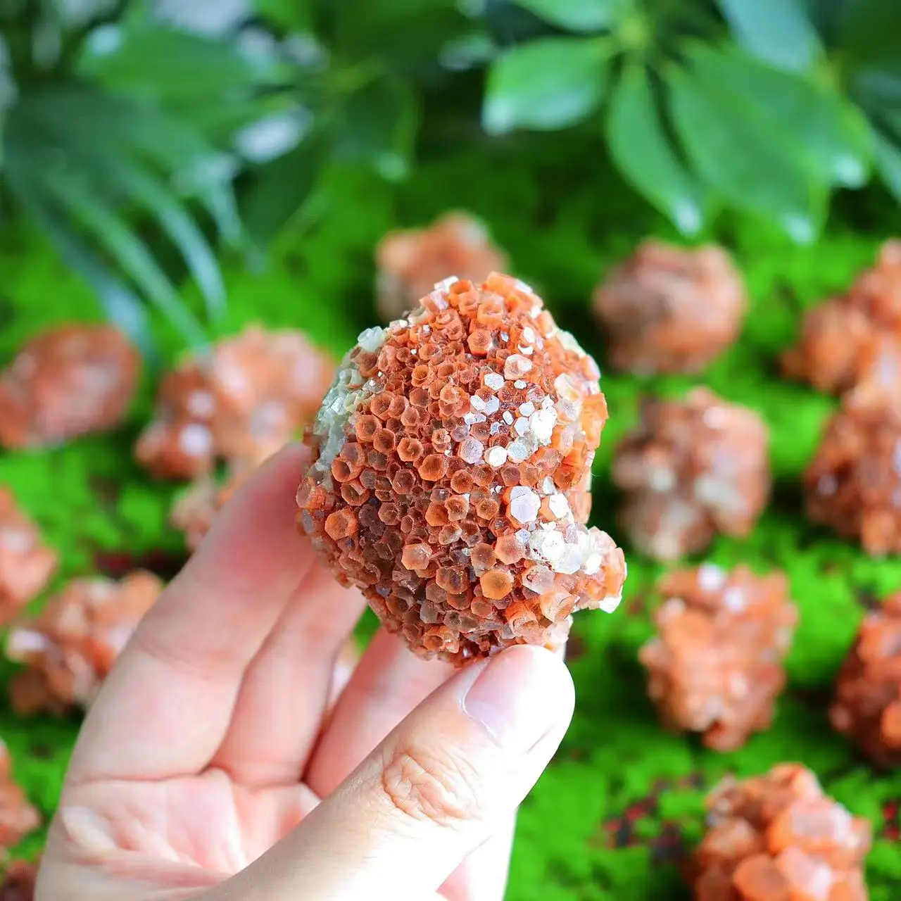 Natural Morocco Aragonite Raw Specimen, Nepheline Cluster, Teaching Ore, Original Gemstone, Ornamental