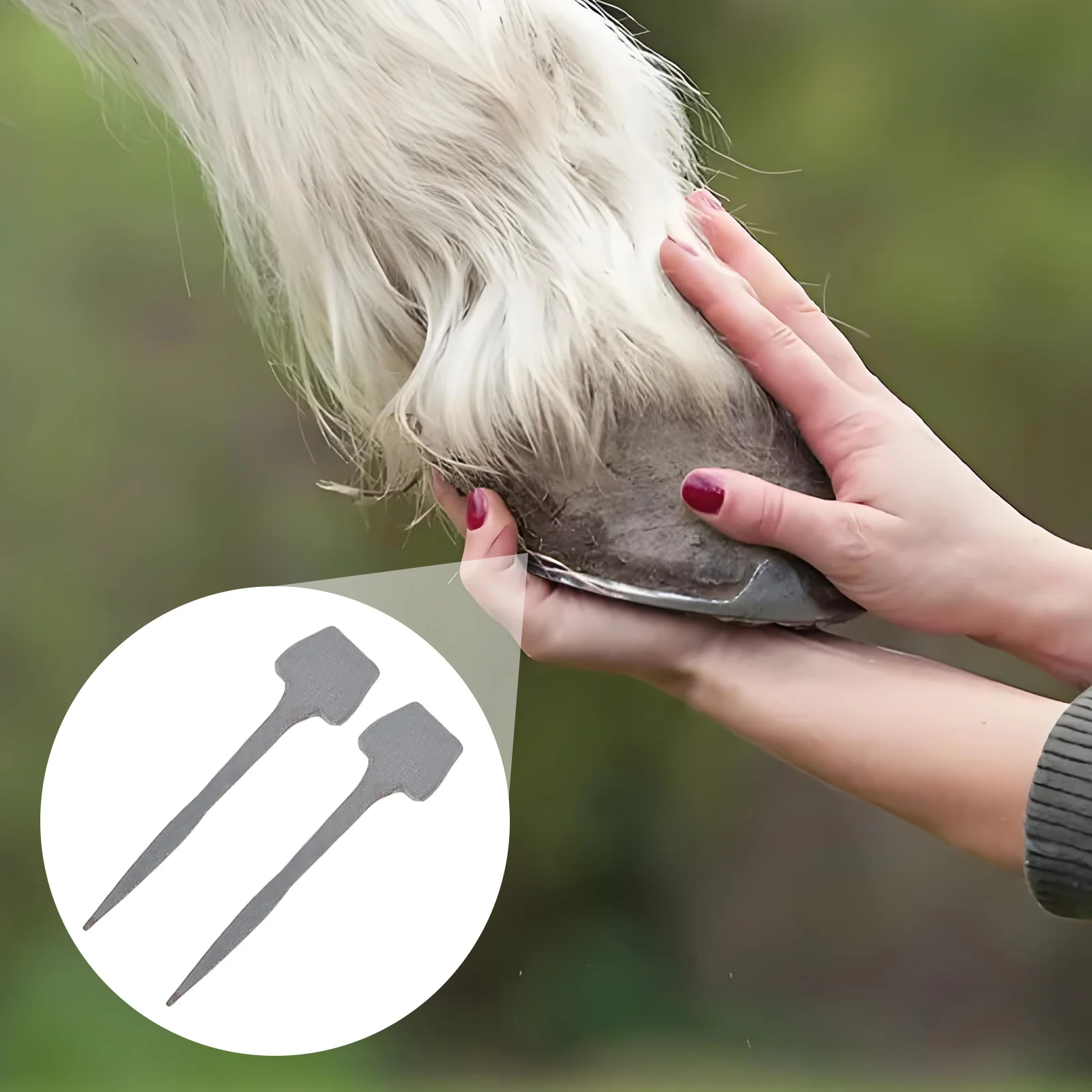 

10pcs Iron Horseshoe Nails High Tensile Strength Durable Metal Fixators Easy Use Mini Hoof Nail Tools Horse Tack Shoe Fixing