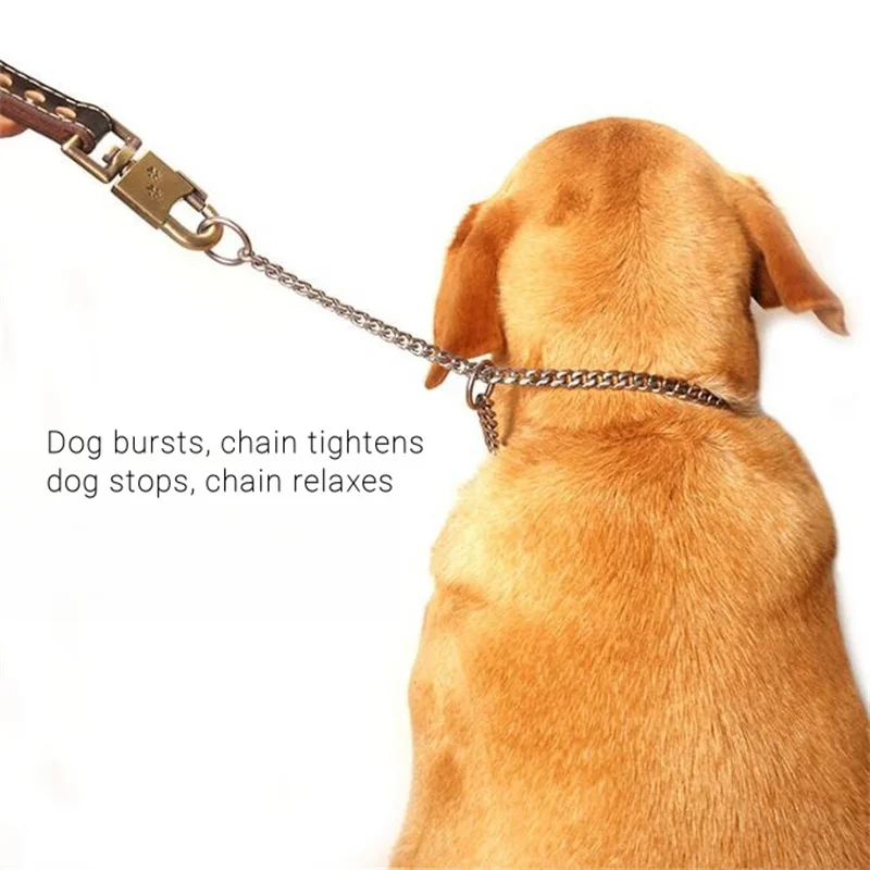 스테인레스 스틸 개 목걸이 체인 P 레버, 중형 대형 애완 동물, 몸부림 방지, 당기지 않는 목 슬립 칼라, 걷기 액세서리, 10mm