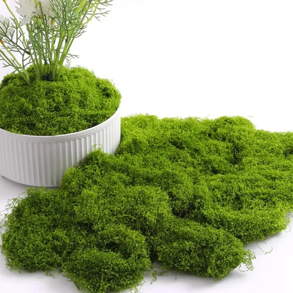 Eternal Life Moss DIY Crafts Grass Artificial Green Plants Home Room Garden Decor Mini Landscape Fake Grass 20/60/100/200g