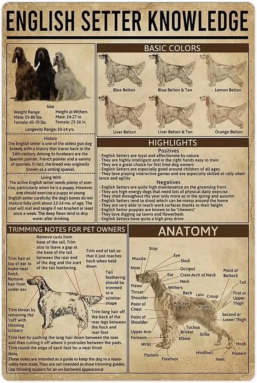 Setter inglés, carteles de Metal de estaño con conocimiento, Setter inglés Vintage, guía de enciclopedia de perros infográficos, carteles, perrera de habitación, pared del hogar