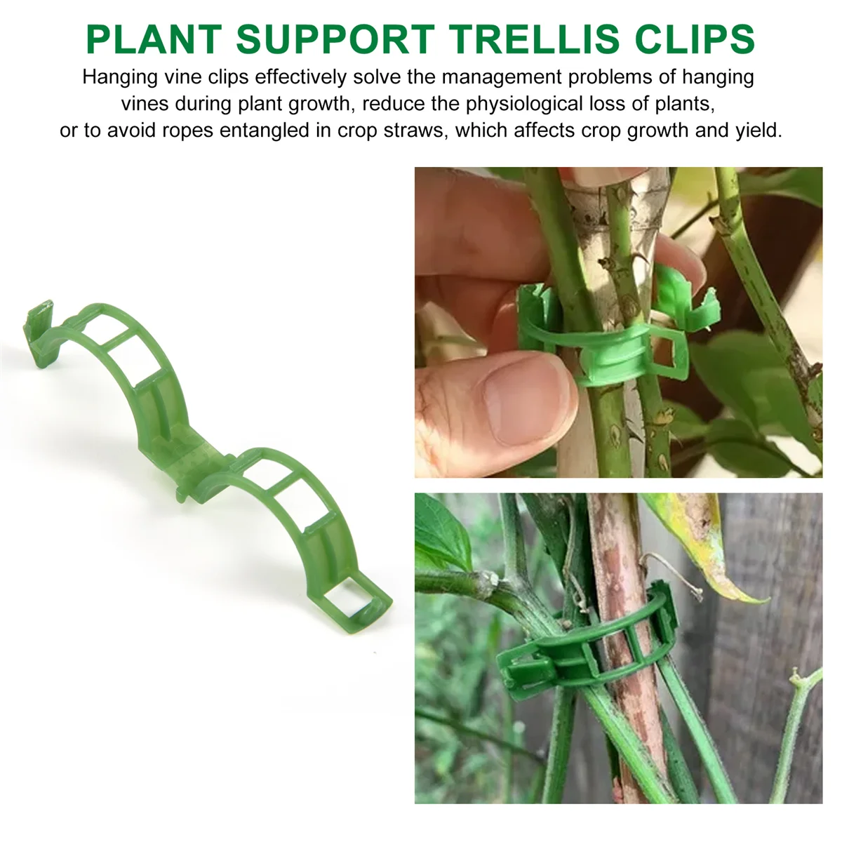 Clips de support pour plantes de jardin, pinces à tomates, clips en treillis, concombre, fleur, courge, vigne, diamètre intérieur de 1 pouce, 200 pièces