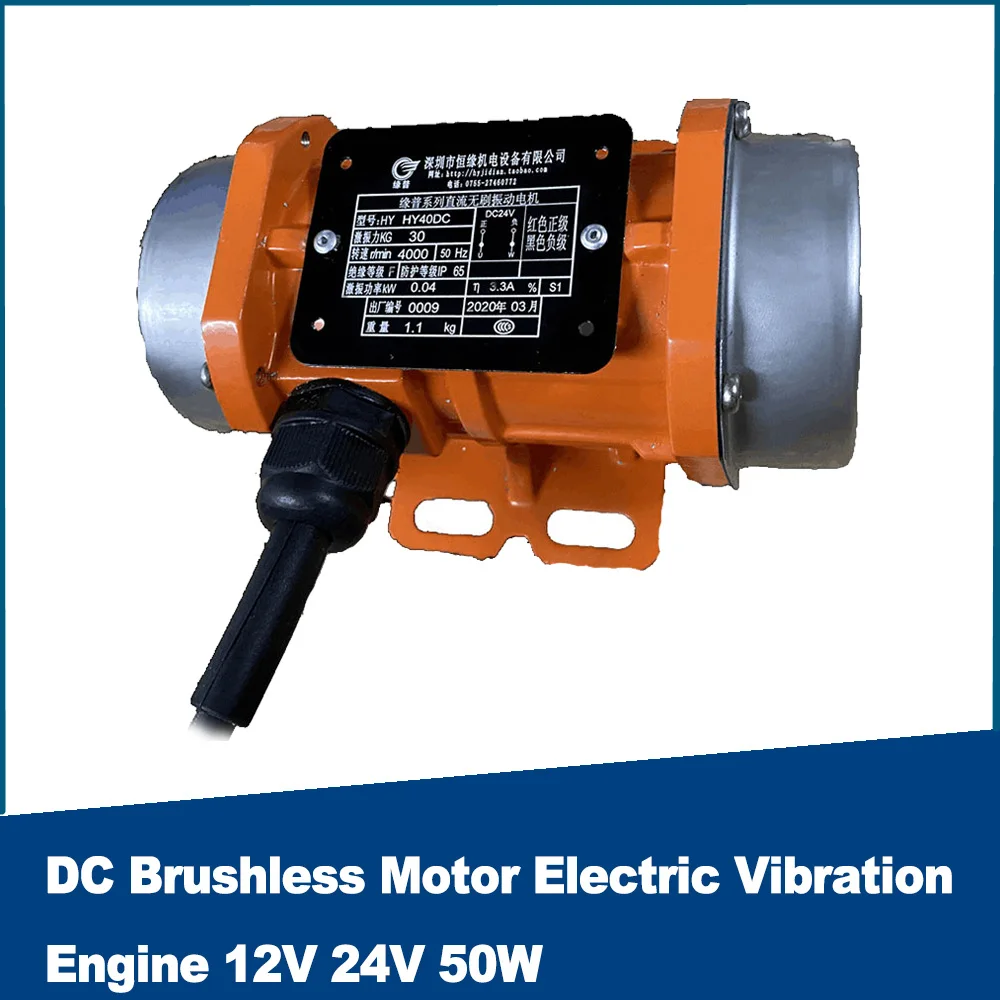 DC borstelloze Bldc ​ Motor Elektrische Trillingen Motor 12V 24V 50W Beton VibraConcrete Vibrator Hoge Frequentie Vibrator Excentrische
