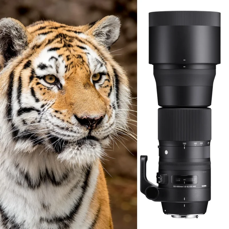 جديد لـ Sigma 150-600 مللي متر f/5-6.3 DG OS HSM عدسة معاصرة لنيكون F لعدسة Canon EF/تنسيق كامل الإطار أربعة عناصر FLD