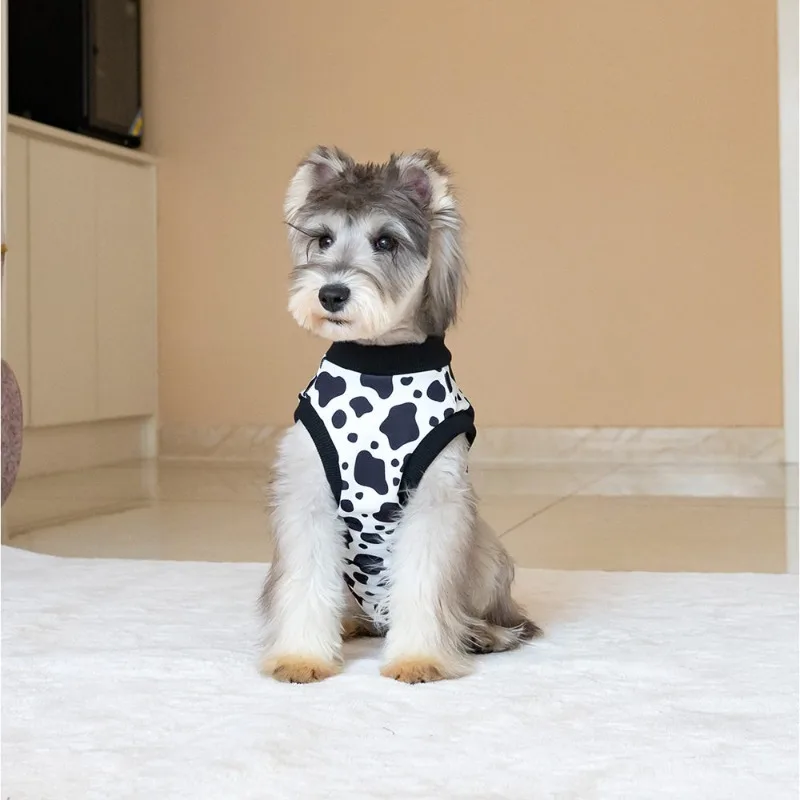 犬用滅菌服